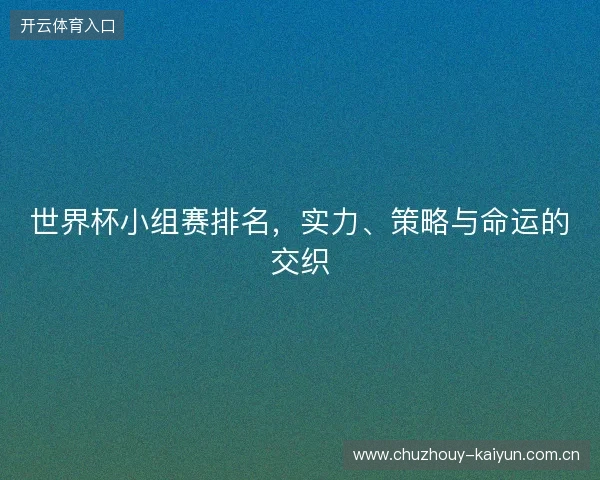 世界杯小组赛排名，实力、策略与命运的交织